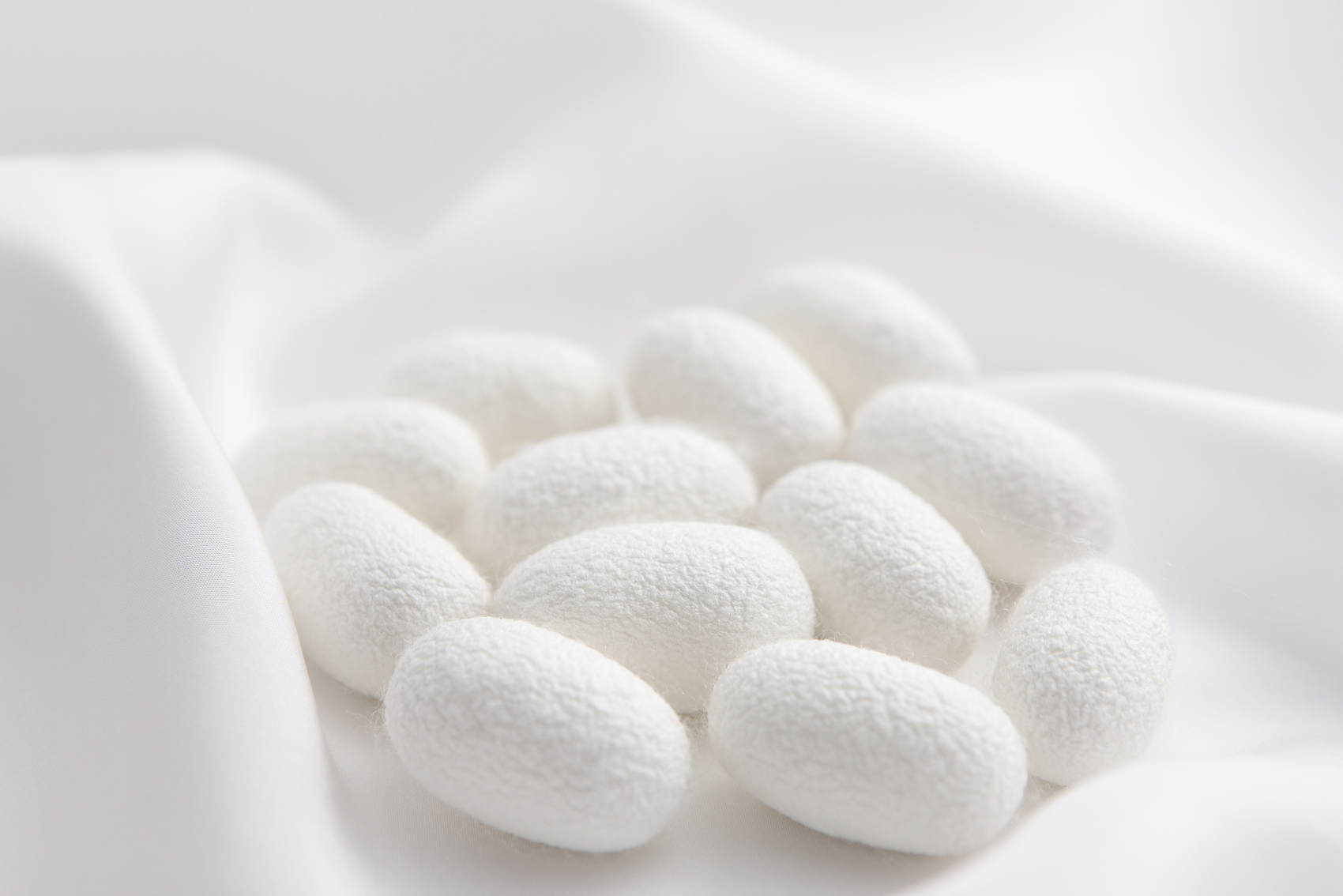 國家“十四五”重點(diǎn)布局領(lǐng)域 | 再生材料——絲素蛋白