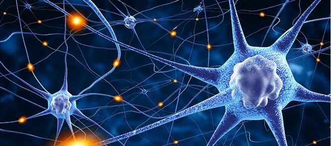 MA市場準入 | 神經(jīng)介入①植入式神經(jīng)刺激器-臨床評價路徑